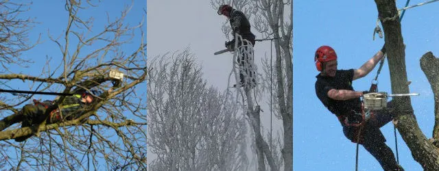 Stormschade & Noodhulp 24/7